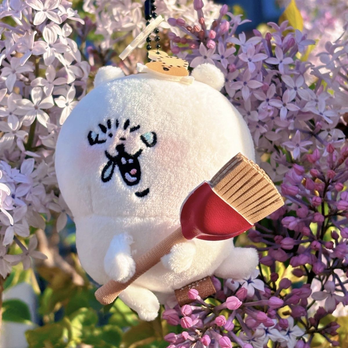 Img